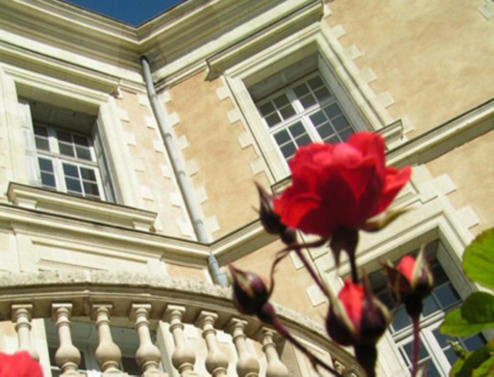 مبيت وإفطار Contigné Chateau De La Haye المظهر الخارجي الصورة