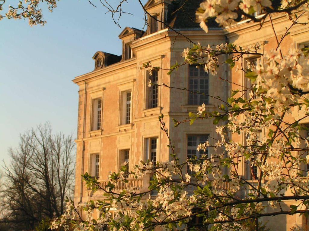 مبيت وإفطار Contigné Chateau De La Haye المظهر الخارجي الصورة