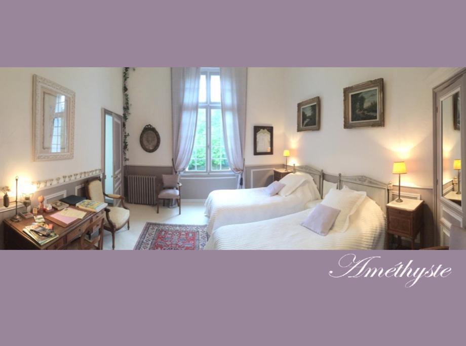 مبيت وإفطار Contigné Chateau De La Haye المظهر الخارجي الصورة